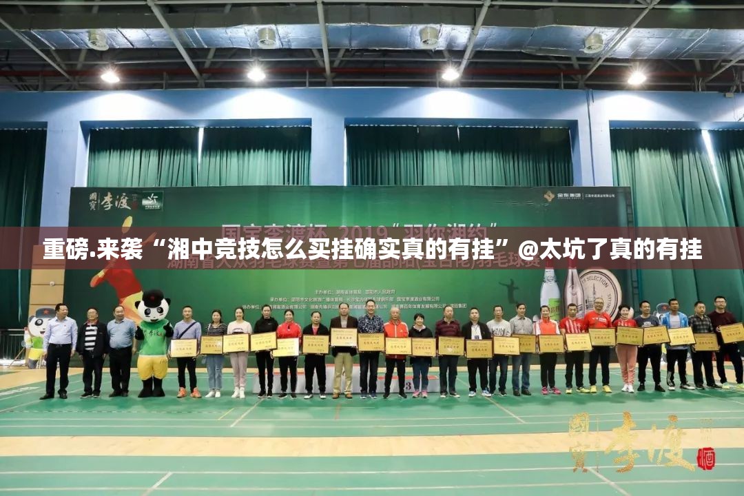 重磅.来袭“湘中竞技怎么买挂确实真的有挂”@太坑了真的有挂