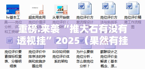 重磅.来袭“推大石有没有透视挂”2025（果然有挂）