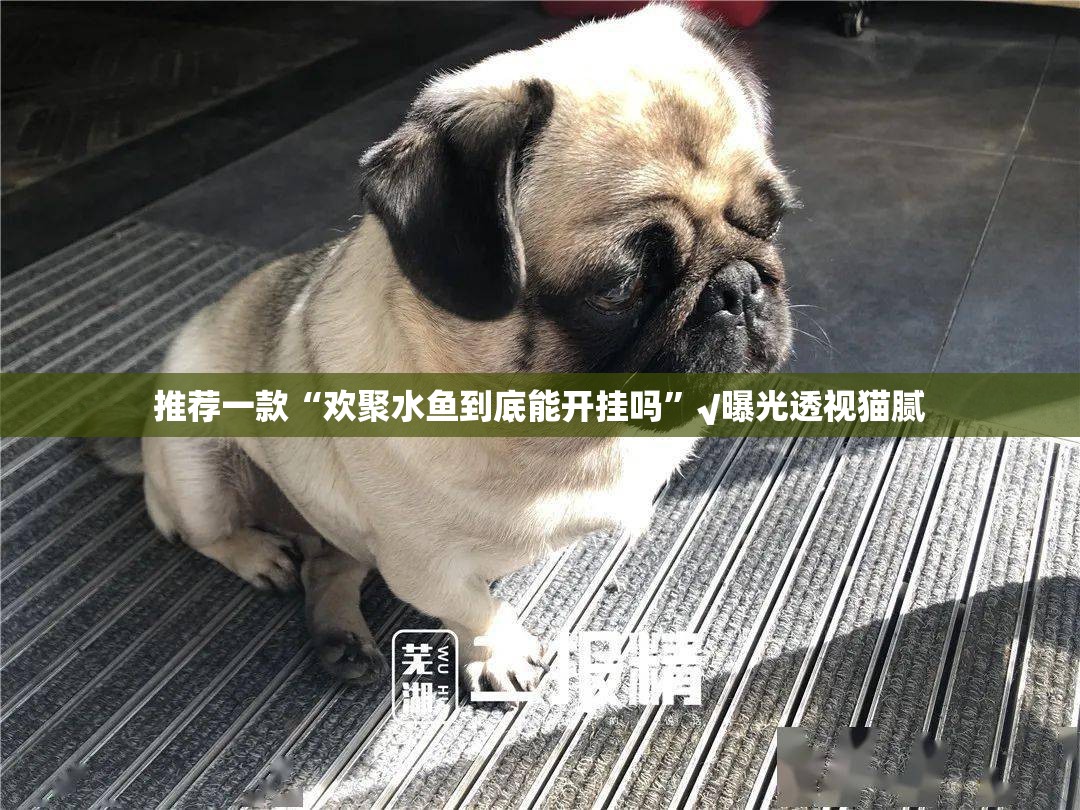 推荐一款“欢聚水鱼到底能开挂吗”√曝光透视猫腻
