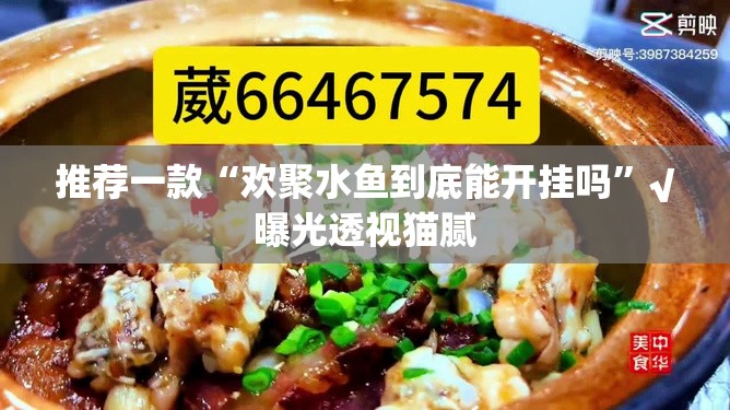 推荐一款“欢聚水鱼到底能开挂吗”√曝光透视猫腻