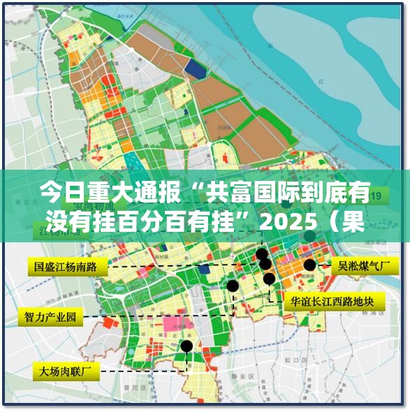 今日重大通报“共富国际到底有没有挂百分百有挂”2025（果然有挂）