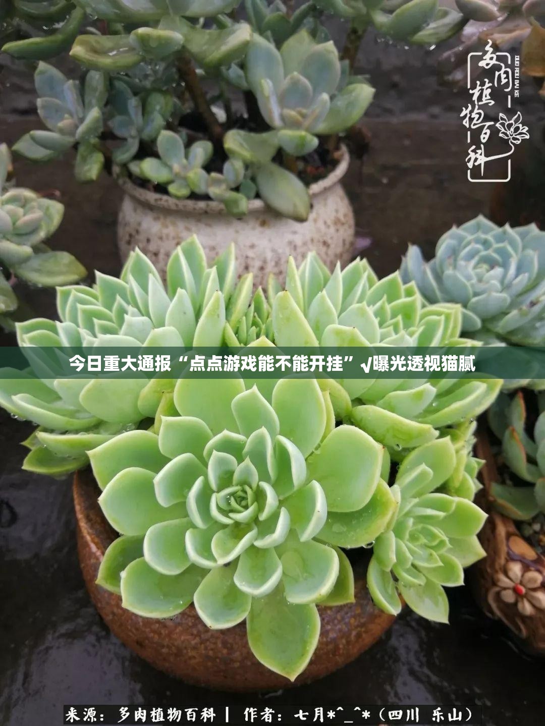 重磅.来袭翻阳翻精其实能开挂吗开挂神器 重磅.来袭翻阳翻精其实能开挂吗开挂神器