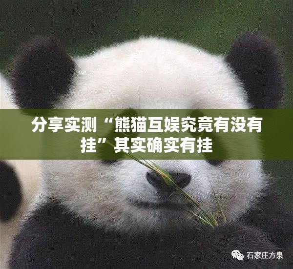 分享实测“熊猫互娱究竟有没有挂”其实确实有挂