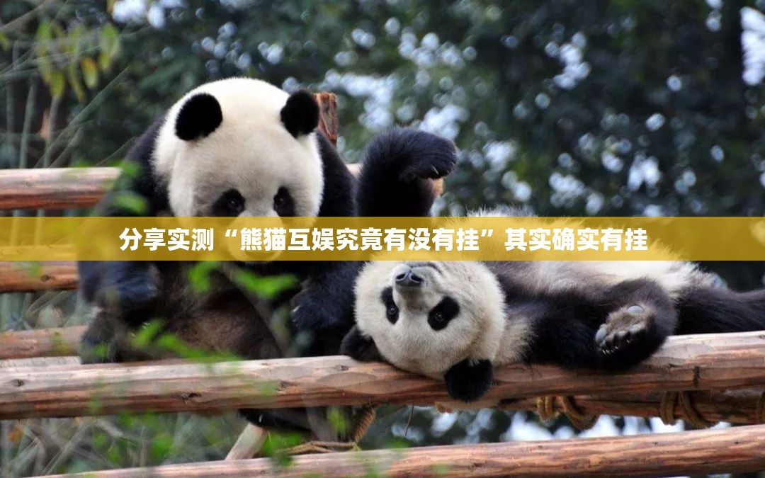 分享实测“熊猫互娱究竟有没有挂”其实确实有挂