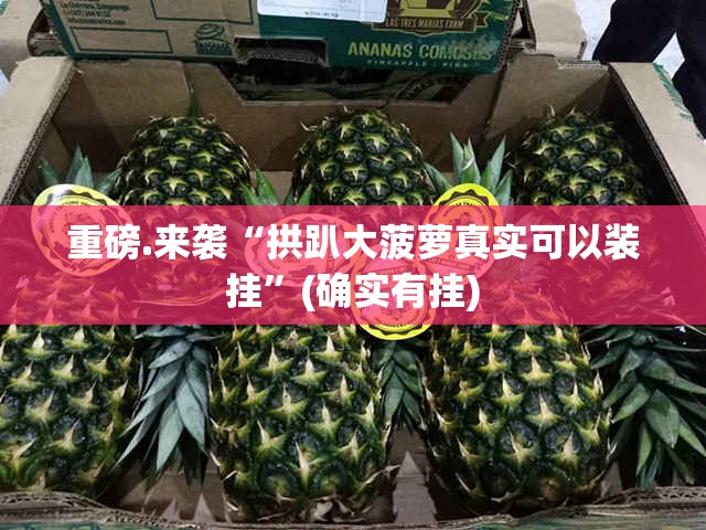 重磅.来袭“拱趴大菠萝真实可以装挂”(确实有挂)