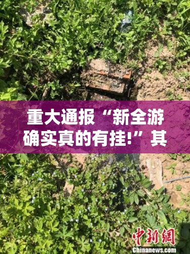 重大通报“新全游确实真的有挂!”其实有挂-知乎