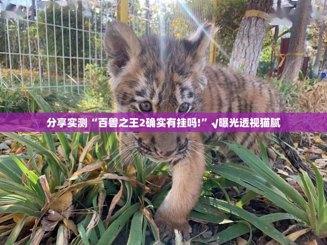 分享实测“百兽之王2确实有挂吗!”√曝光透视猫腻