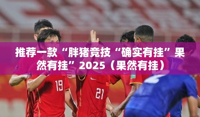 推荐一款家乡大贰挂!详细开挂教程2025（果然有挂）