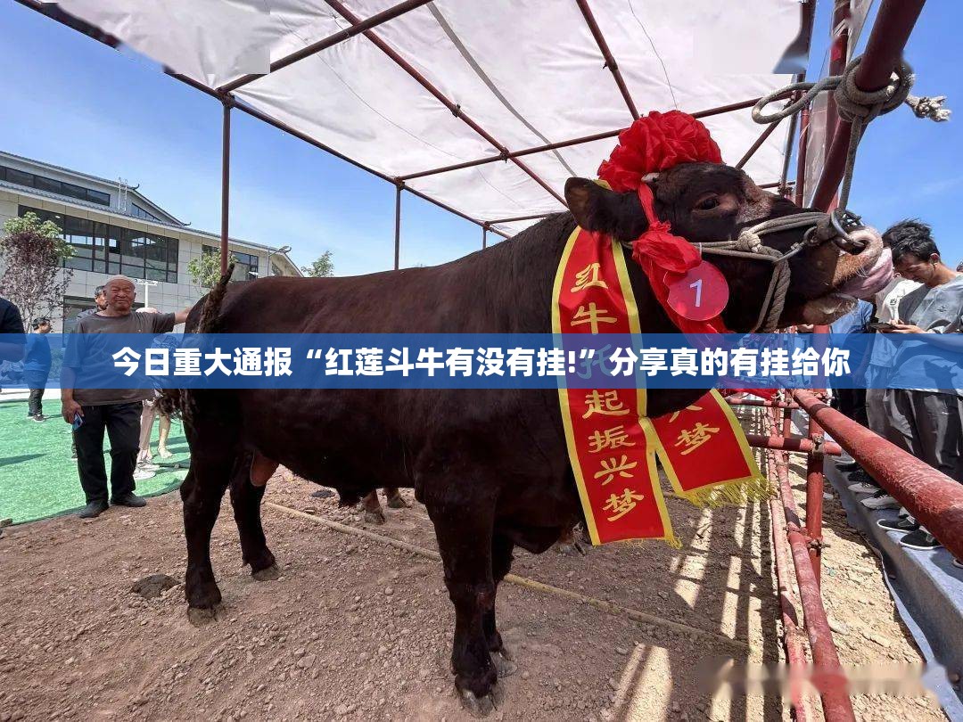 重磅.来袭德州牛仔必赢软件√确实真的有挂 重磅.来袭德州牛仔必赢软件√确实真的有挂