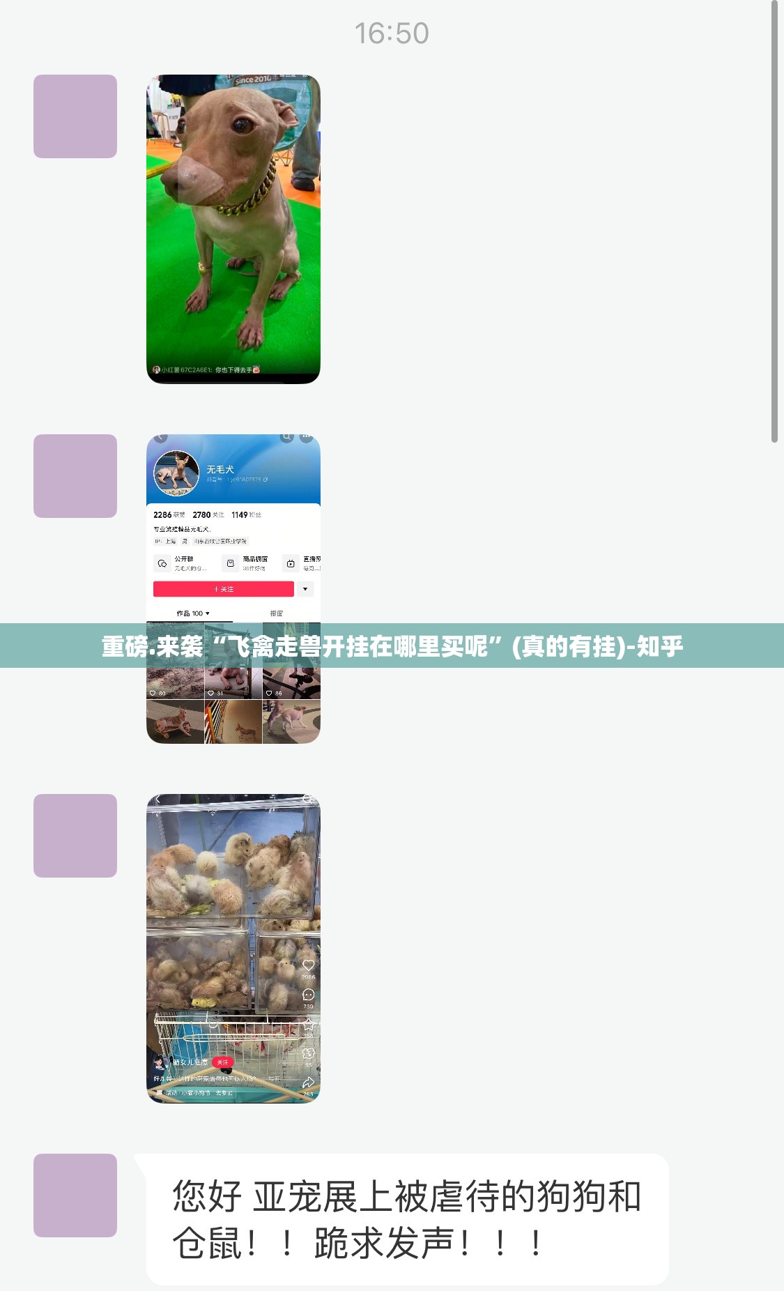 重磅.来袭“飞禽走兽开挂在哪里买呢”(真的有挂)-知乎
