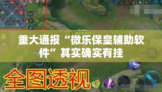 重大通报“微乐保皇辅助软件”其实确实有挂