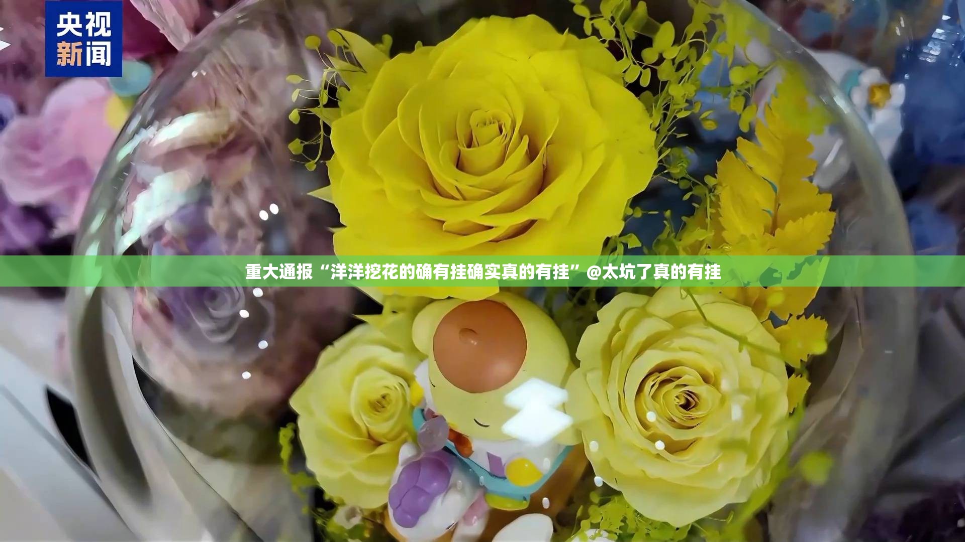重大通报“洋洋挖花的确有挂确实真的有挂”@太坑了真的有挂