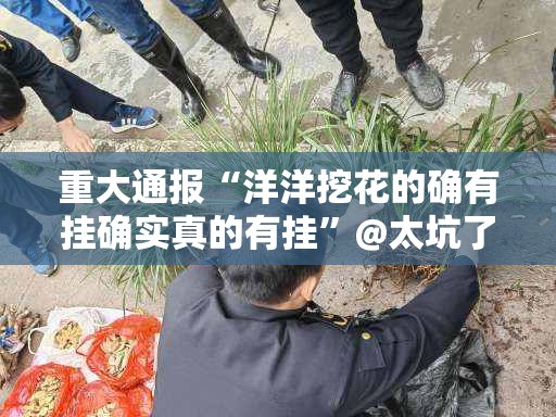 重大通报“洋洋挖花的确有挂确实真的有挂”@太坑了真的有挂