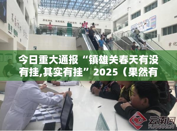 今日重大通报“镇雄关春天有没有挂,其实有挂”2025（果然有挂）