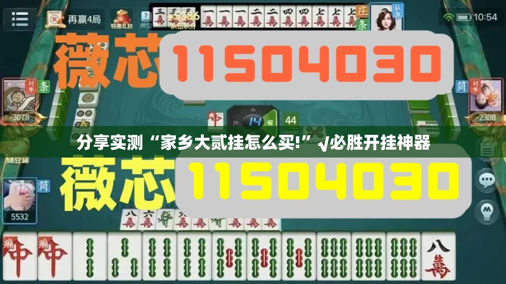 分享实测“家乡大贰挂怎么买!”√必胜开挂神器