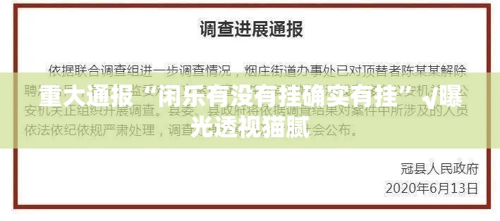 重大通报“闲乐有没有挂确实有挂”√曝光透视猫腻