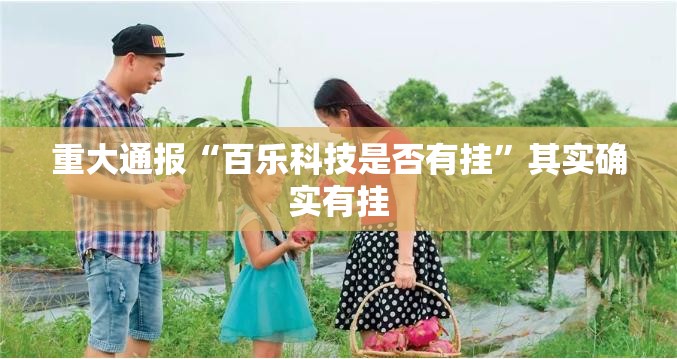 重大通报“百乐科技是否有挂”其实确实有挂