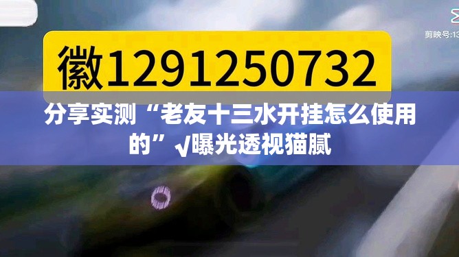 分享实测“老友十三水开挂怎么使用的”√曝光透视猫腻