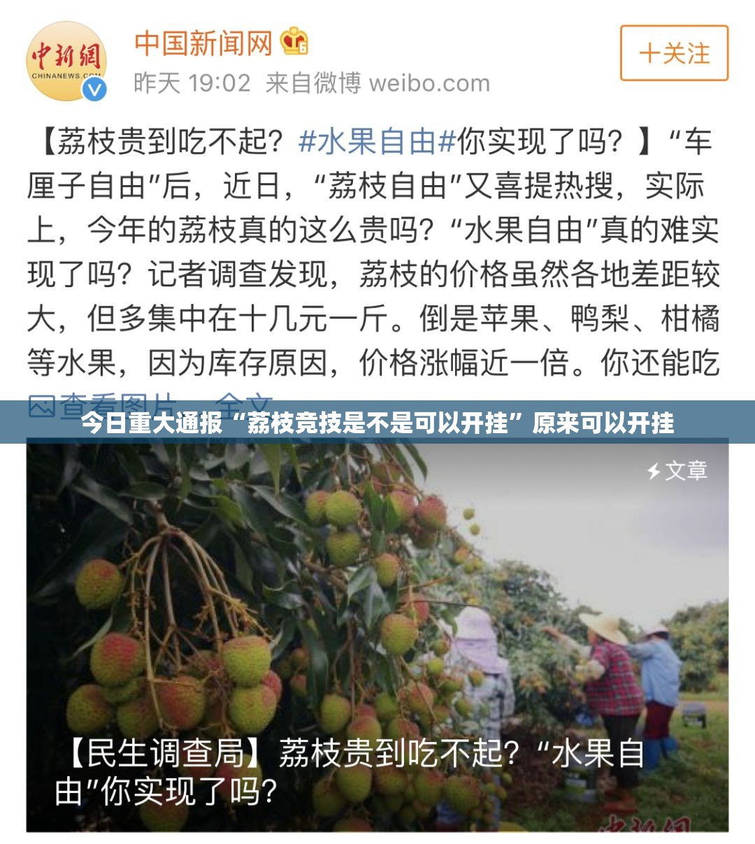 今日重大通报“荔枝竞技是不是可以开挂”原来可以开挂