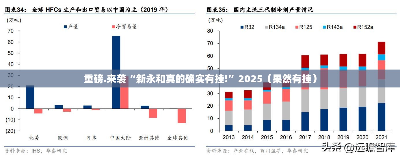 重磅.来袭“新永和真的确实有挂!”2025（果然有挂）