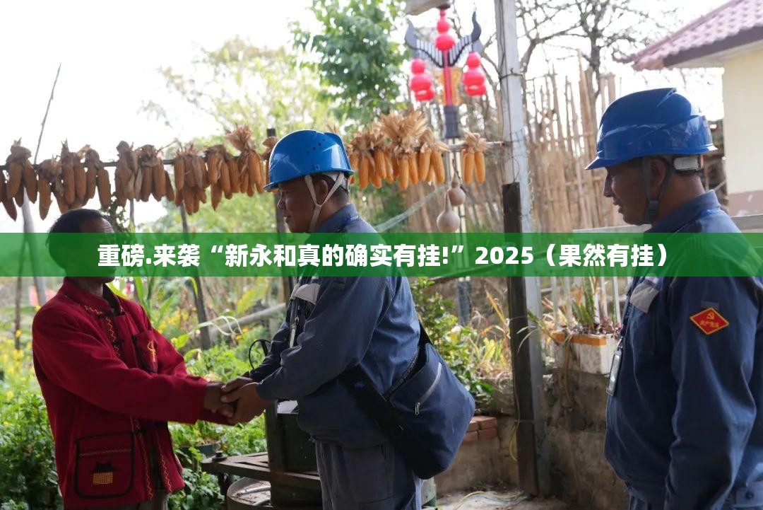 重磅.来袭“新永和真的确实有挂!”2025（果然有挂）