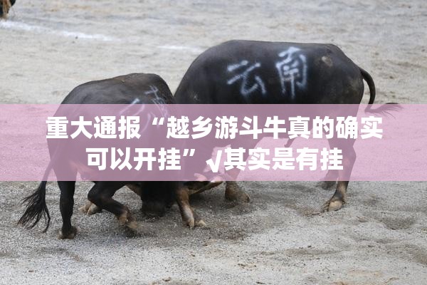 重大通报“越乡游斗牛真的确实可以开挂”√其实是有挂