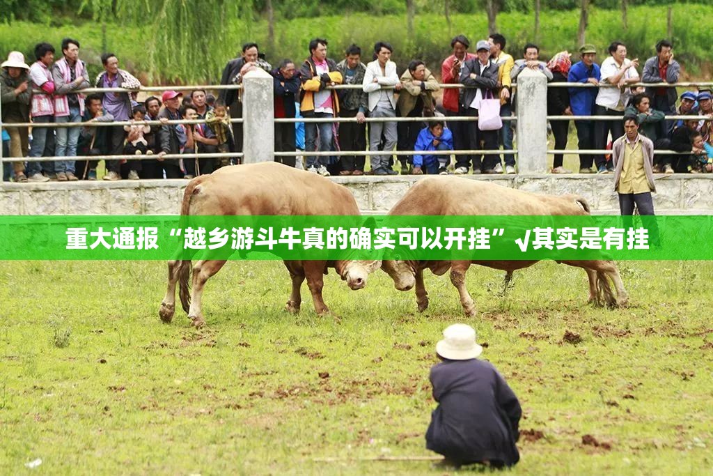 重大通报“越乡游斗牛真的确实可以开挂”√其实是有挂