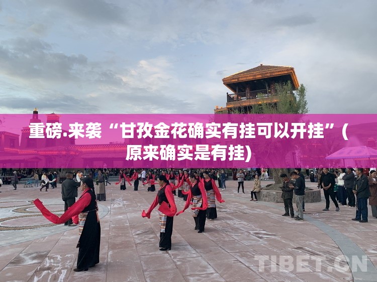 重磅.来袭“甘孜金花确实有挂可以开挂”(原来确实是有挂)