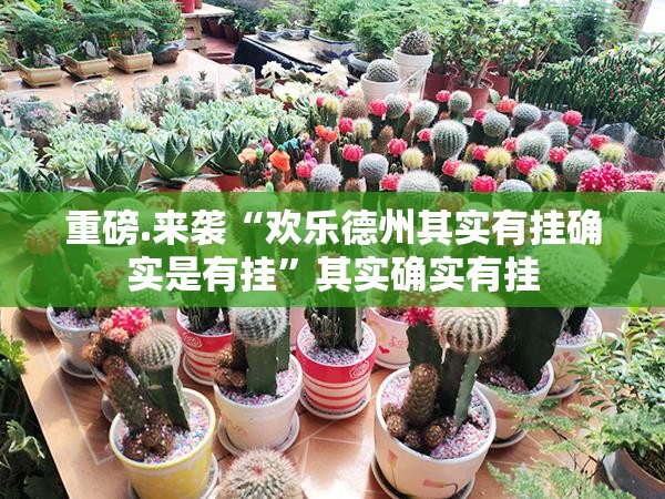 重磅.来袭“欢乐德州其实有挂确实是有挂”其实确实有挂