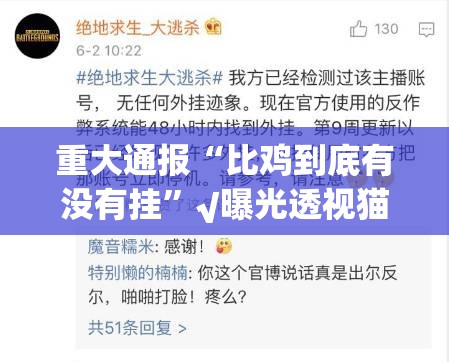 重大通报“比鸡到底有没有挂”√曝光透视猫腻