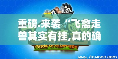 重磅.来袭“飞禽走兽其实有挂,真的确实有挂”其实有挂-知乎