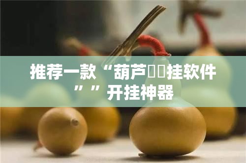 推荐一款“葫芦犇犇挂软件””开挂神器
