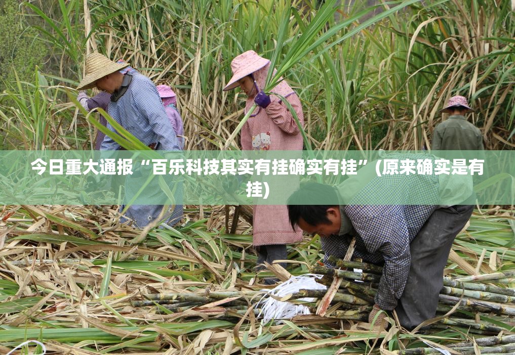 今日重大通报“百乐科技其实有挂确实有挂”(原来确实是有挂)