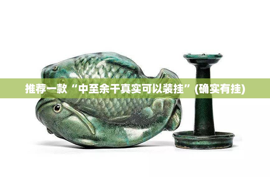 推荐一款“中至余干真实可以装挂”(确实有挂)