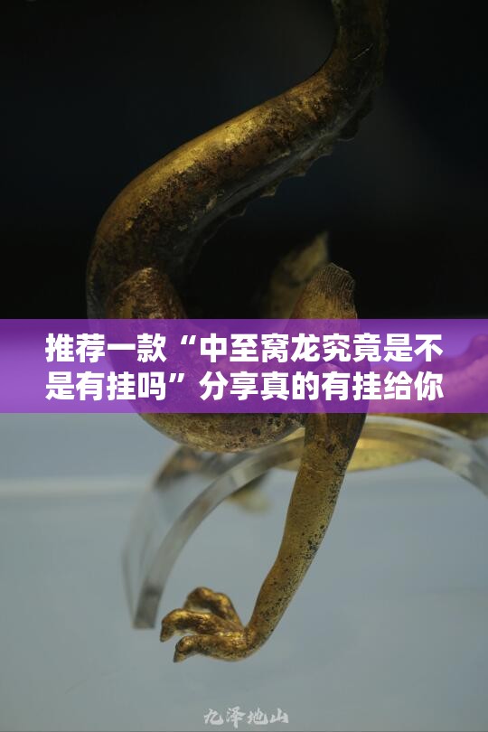 推荐一款“中至窝龙究竟是不是有挂吗”分享真的有挂给你