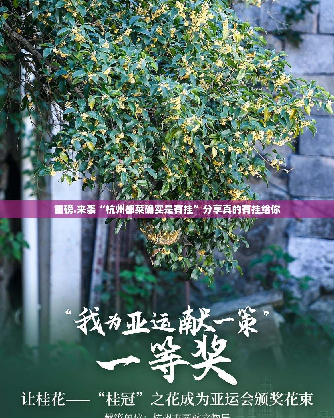 重磅.来袭“杭州都莱确实是有挂”分享真的有挂给你