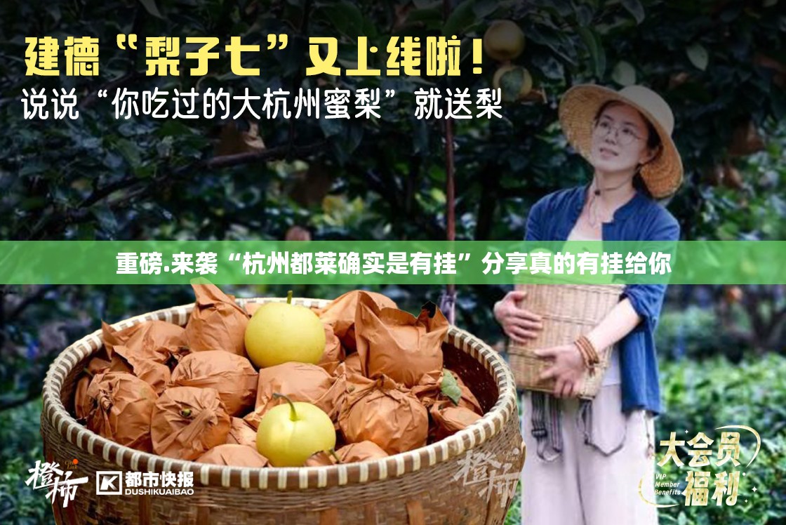 重磅.来袭“杭州都莱确实是有挂”分享真的有挂给你