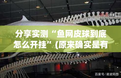 分享实测“鱼网皮球到底怎么开挂”(原来确实是有挂)