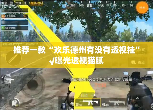 推荐一款“欢乐德州有没有透视挂”√曝光透视猫腻