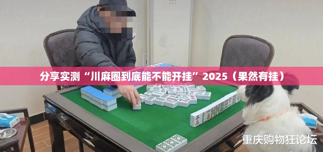 分享实测“川麻圈到底能不能开挂”2025（果然有挂）