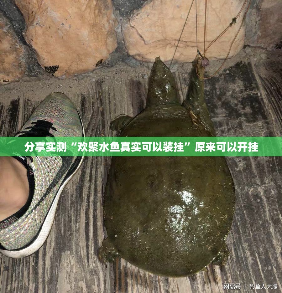 分享实测“欢聚水鱼真实可以装挂”原来可以开挂