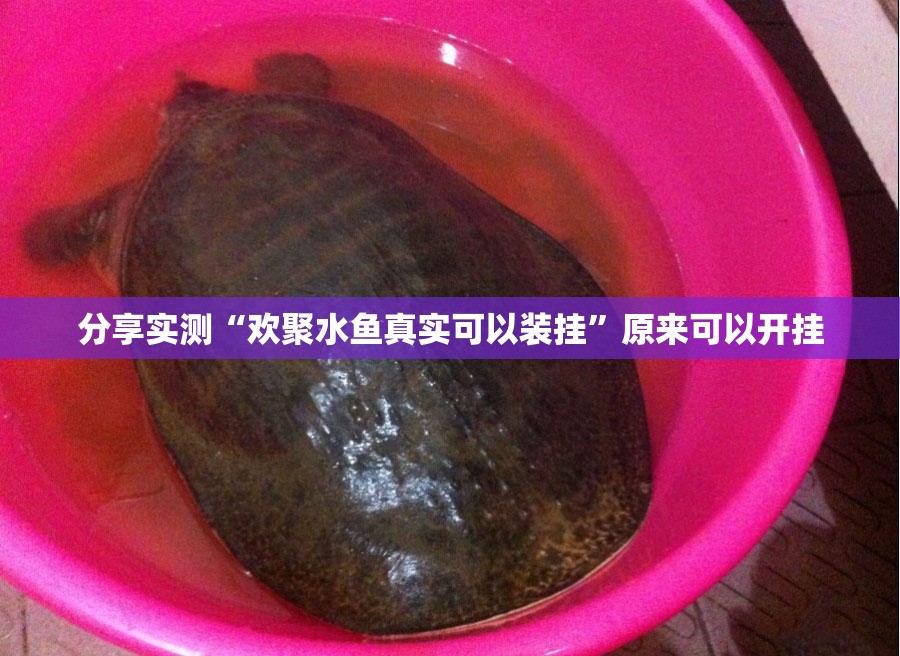 分享实测“欢聚水鱼真实可以装挂”原来可以开挂