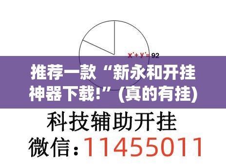 推荐一款“新永和开挂神器下载!”(真的有挂)-知乎
