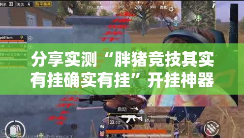 分享实测“胖猪竞技其实有挂确实有挂”开挂神器