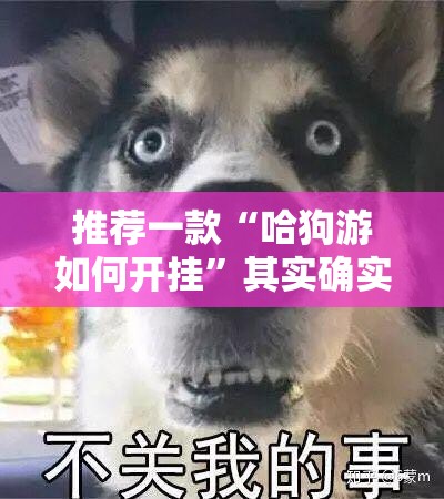 推荐一款“哈狗游如何开挂”其实确实有挂