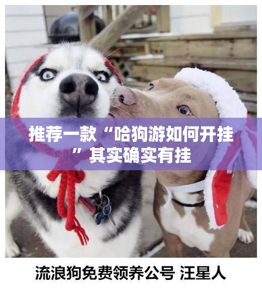 推荐一款“哈狗游如何开挂”其实确实有挂