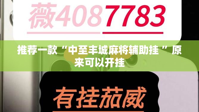 推荐一款“中至丰城麻将辅助挂 ”原来可以开挂
