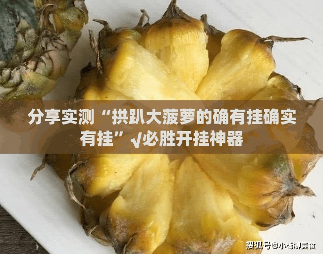 分享实测“拱趴大菠萝的确有挂确实有挂”√必胜开挂神器