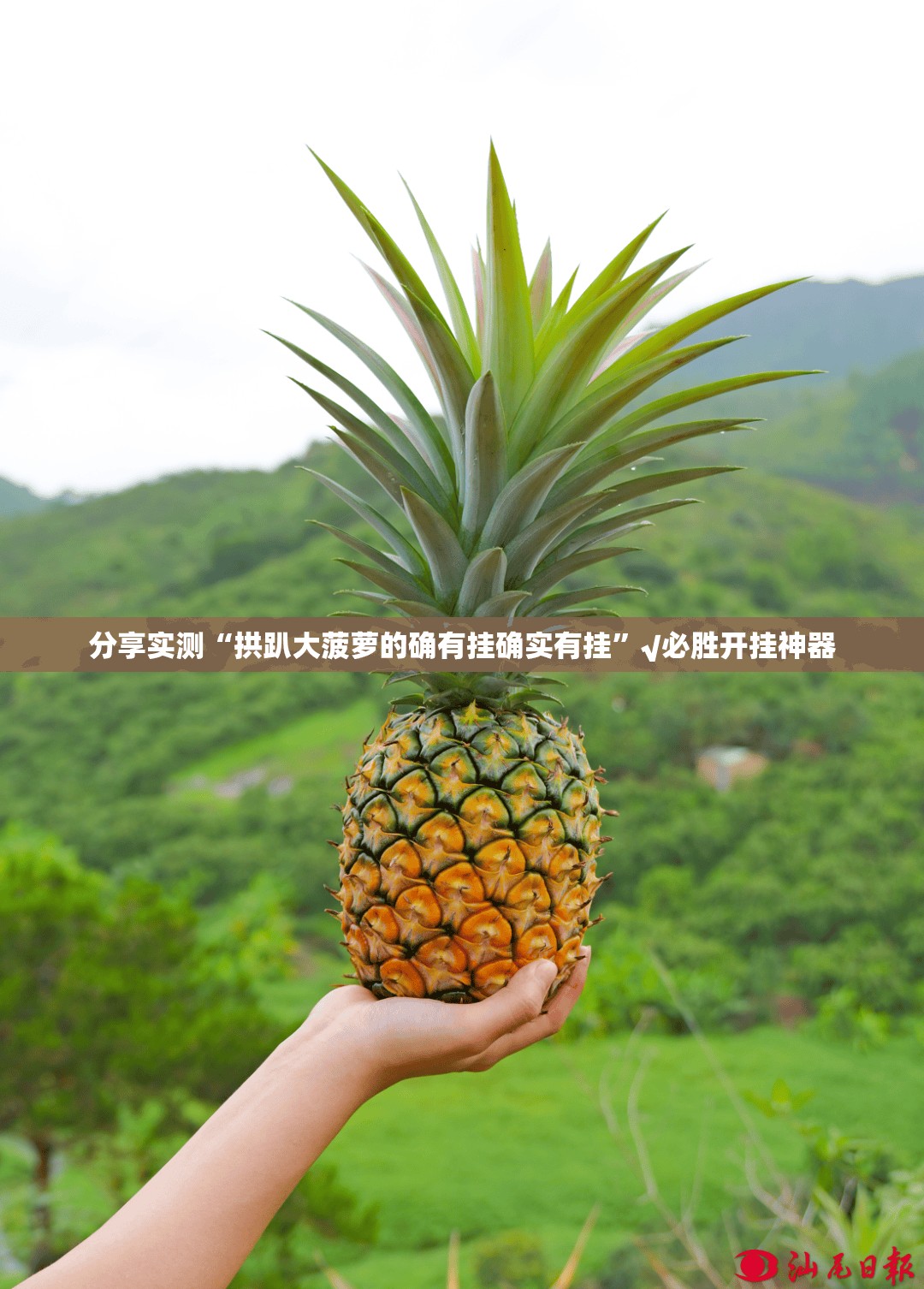 分享实测榕城510K其实有挂确实真的有挂(真的有挂)-知乎