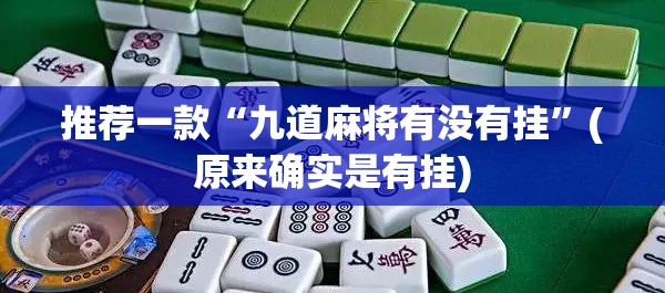 推荐一款“九道麻将有没有挂”(原来确实是有挂) 推荐一款“九道麻将有没有挂”(原来确实是有挂)